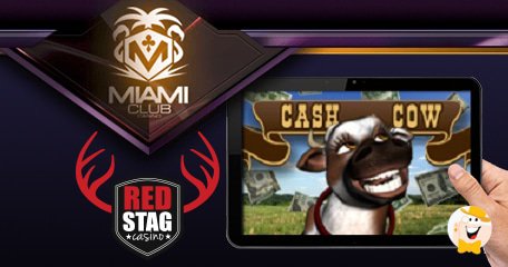 Cash cow roulette system